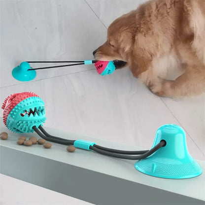 Interactive Silicone Suction Cup Dog Ball Toy