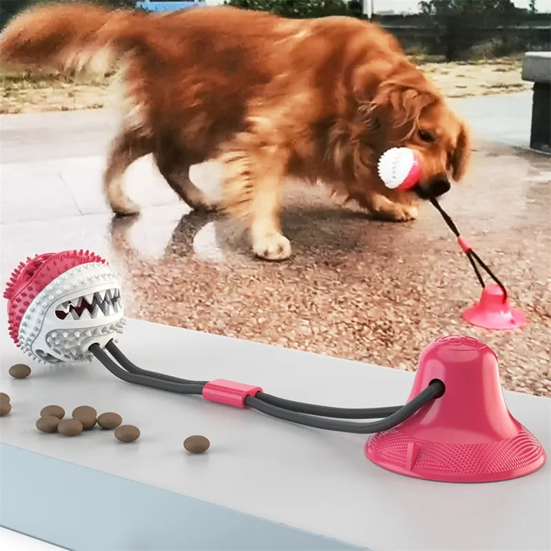 Interactive Silicone Suction Cup Dog Ball Toy