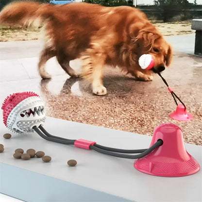 Interactive Silicone Suction Cup Dog Ball Toy